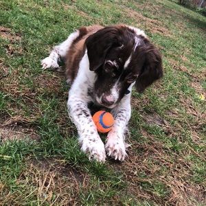 Meet your Posher, Kyle